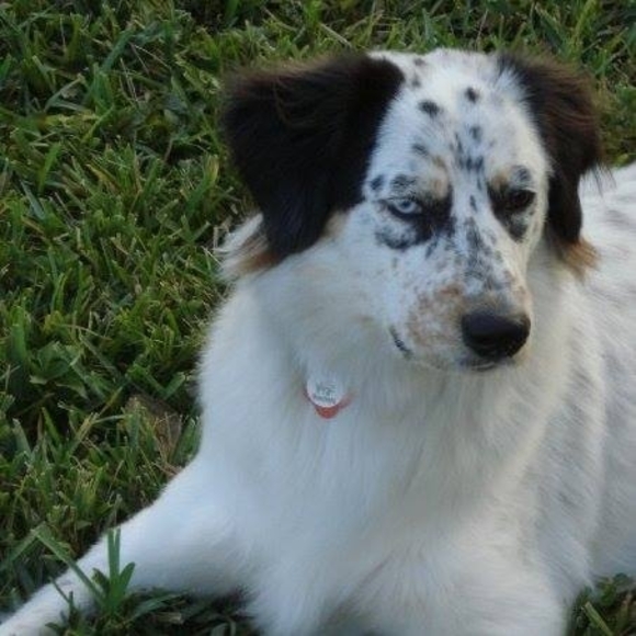 Meet the Posher Other - Meet your Posher, Verónica